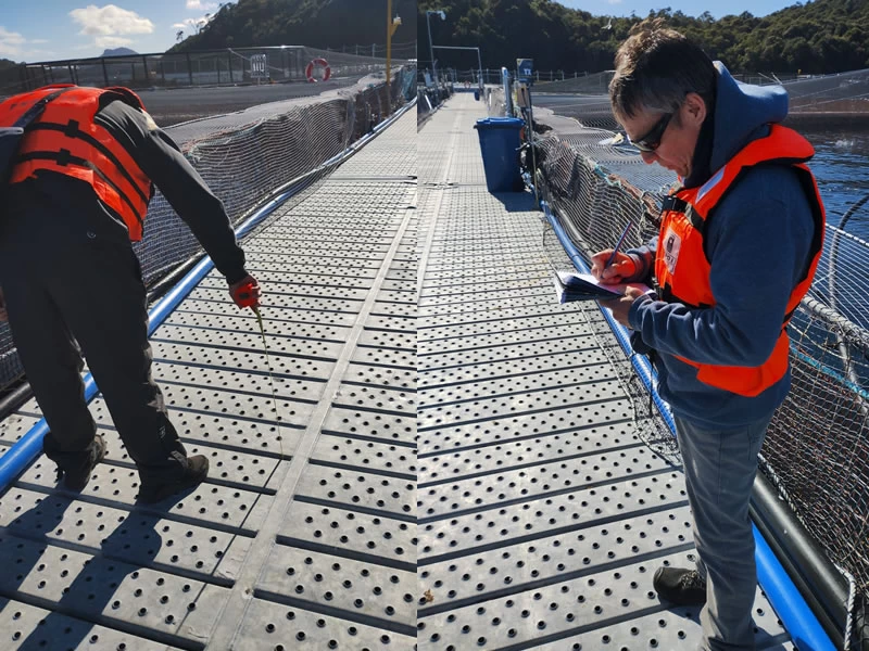 Inspección de estructuras centros de cultivos